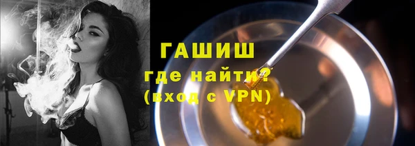 индика Аркадак